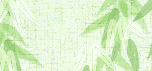 Why Choose Bamboo Fiber Fabric